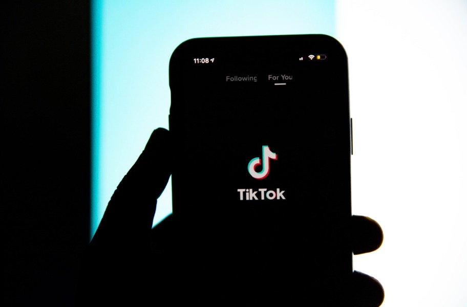 The TikTok Ban Withers Away